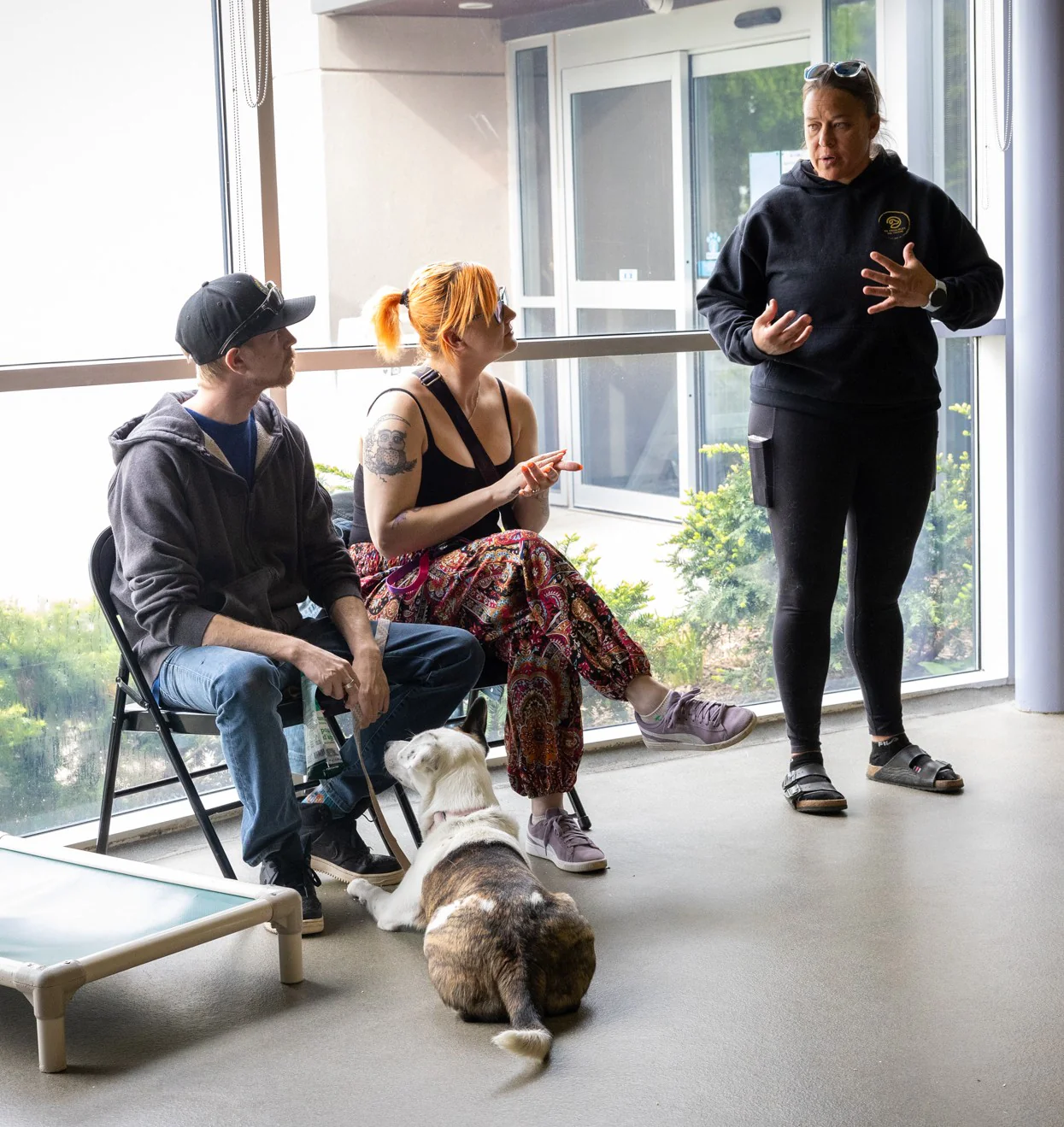 K9 Principles Dog Training - Image 8